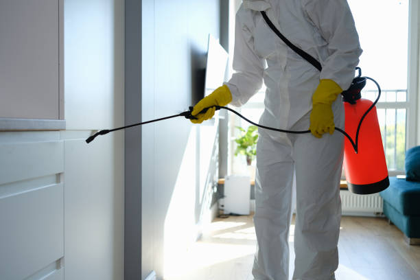 Professional Pest Control in Shelburne Falls, MA